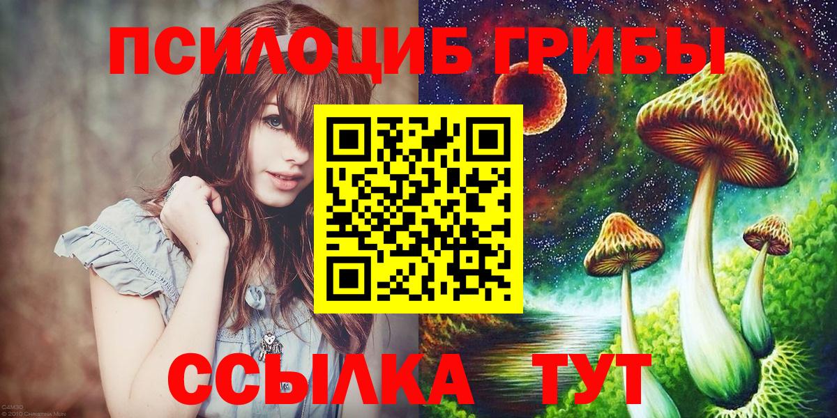Благодарный  Псилоцибиновые грибы Psilocybine cubensis  Вход с VPN 